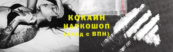 прущие грибы Грязовец